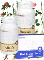 alfalfa-burdock-red-clover-forte-santegra-rinkinys-s-2-kaina-akcija-pigiau